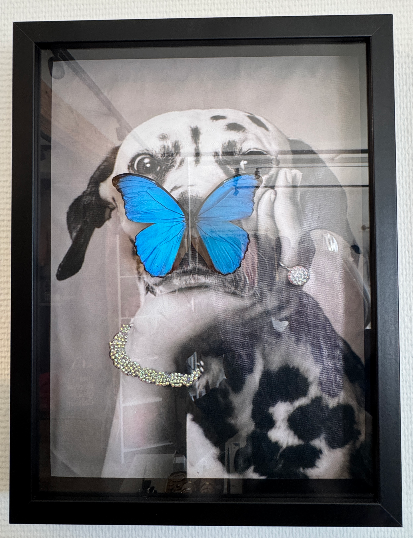Insect art 5