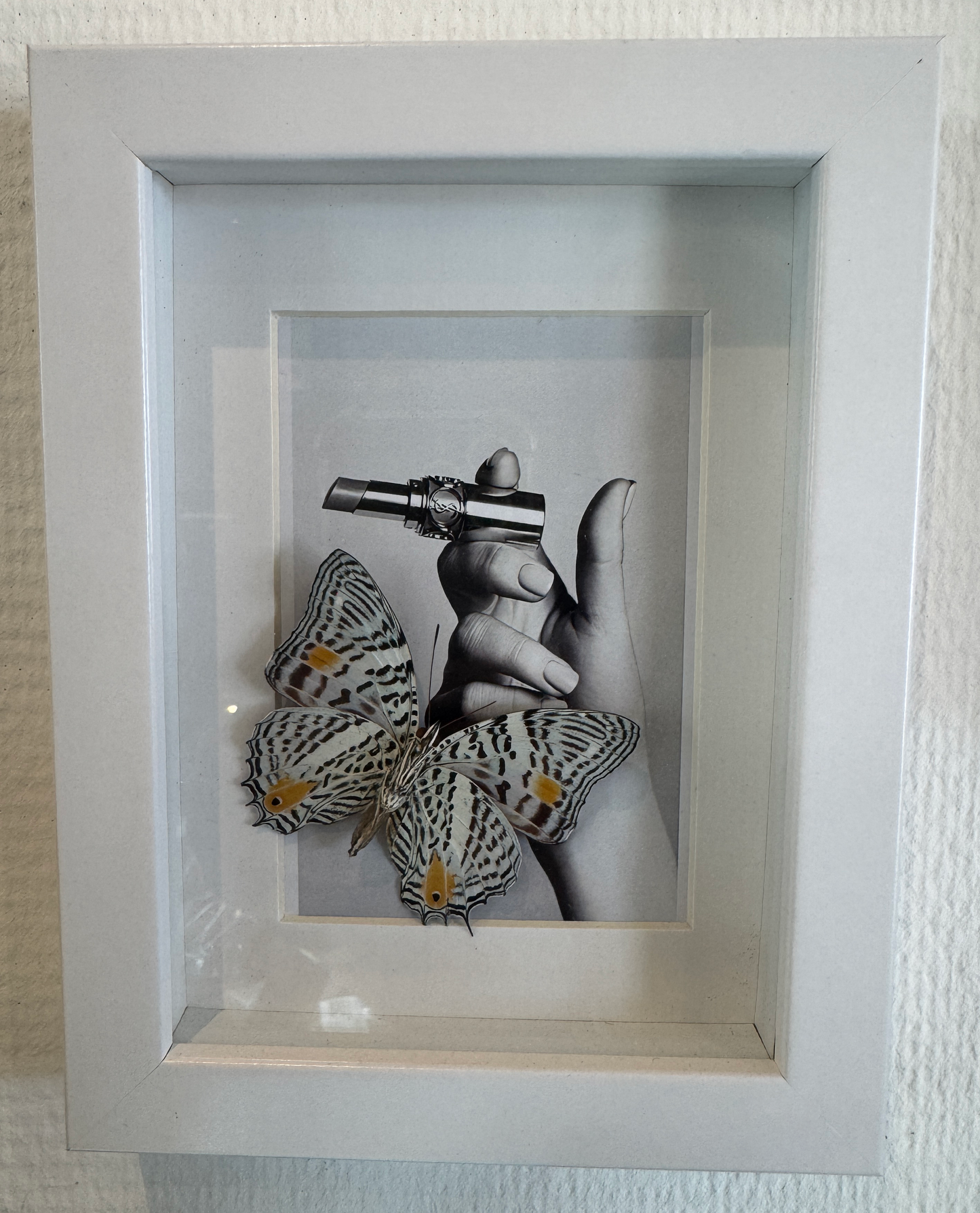 Insect art 1