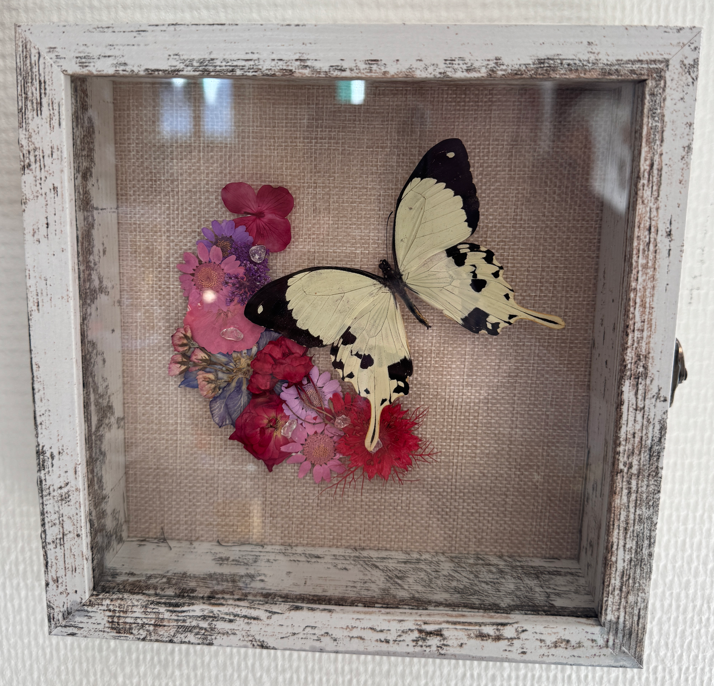 Insect art 2