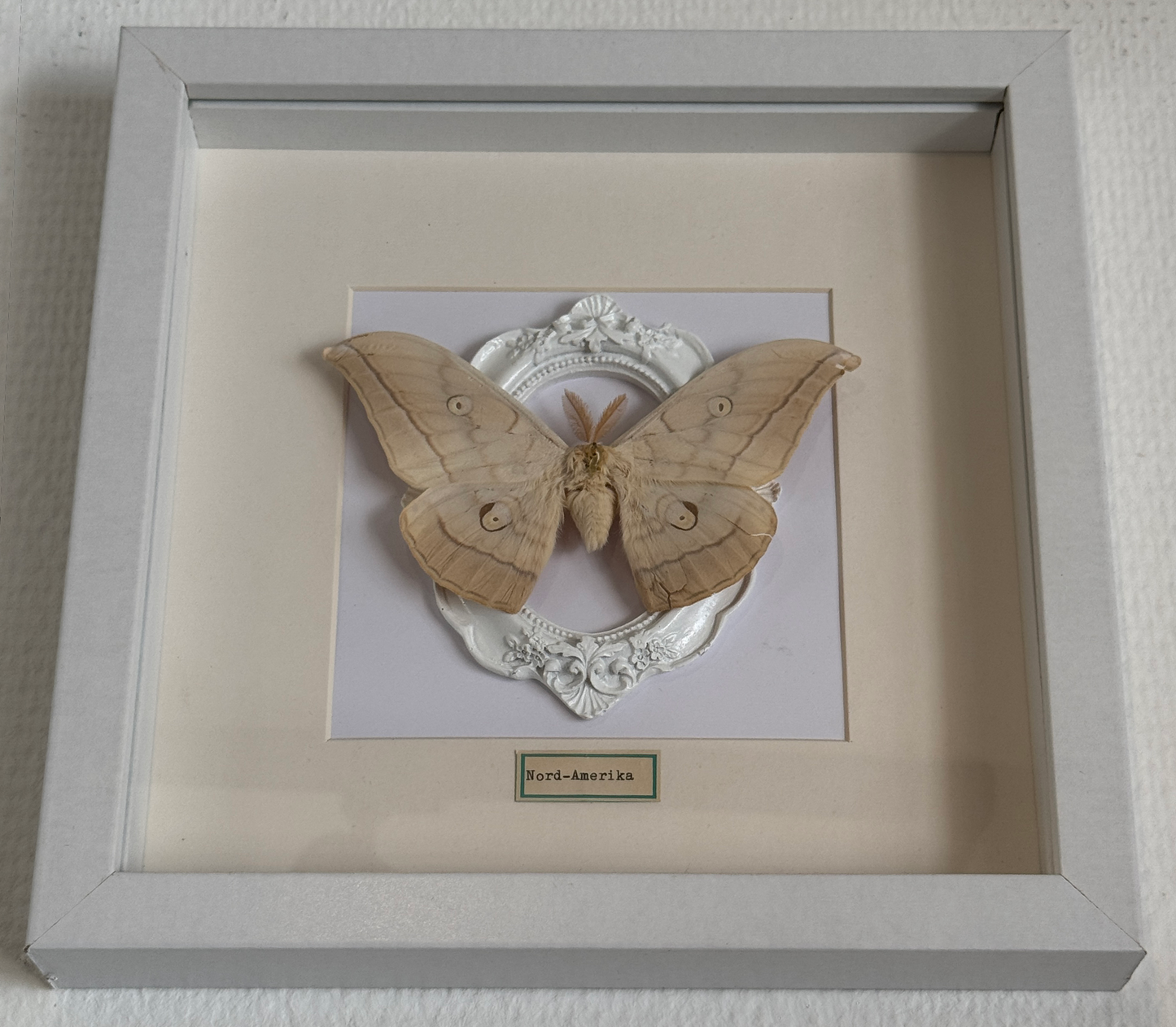 Insect art 4