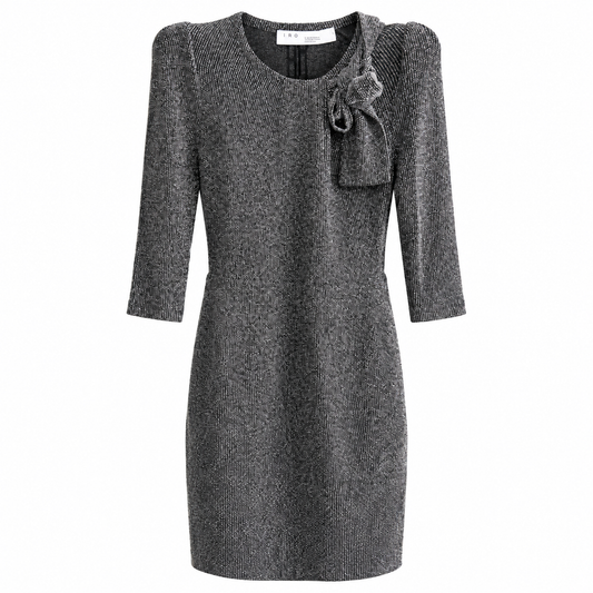 Kleid, IRO, silber
