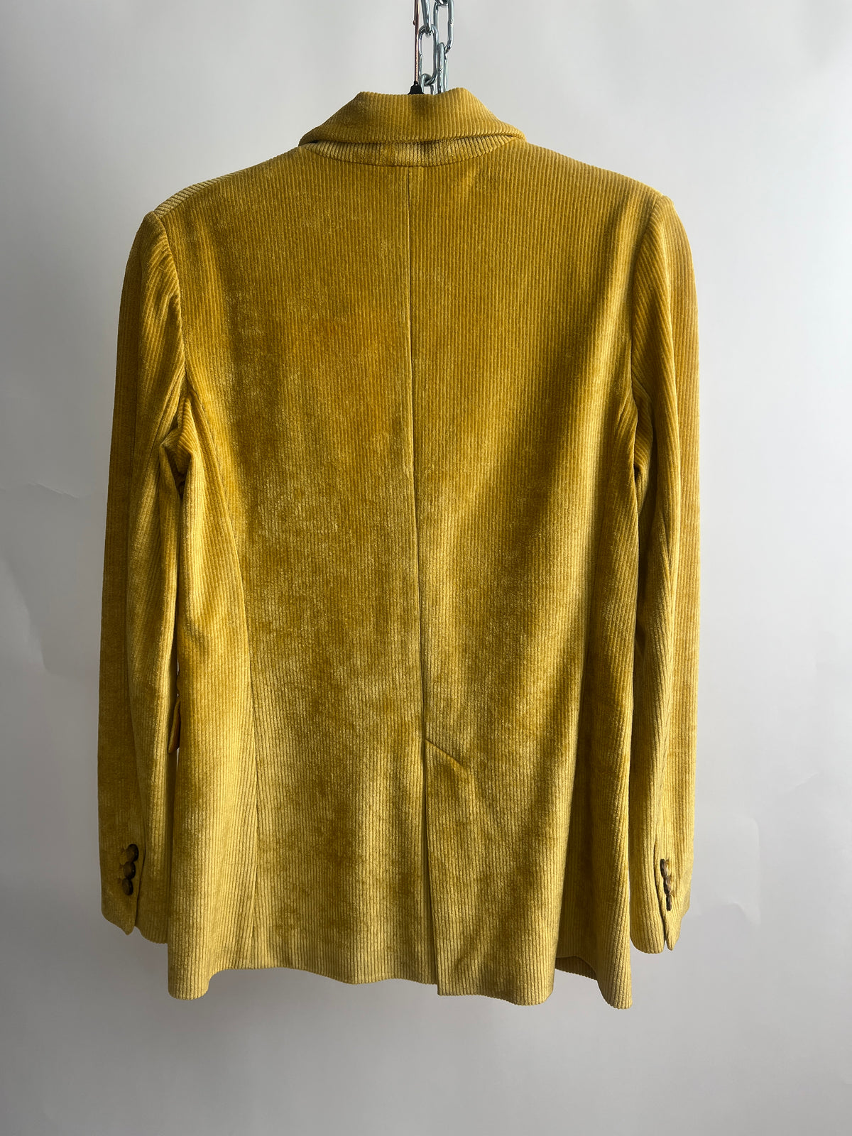 Blazer, Circolo 1901, gold