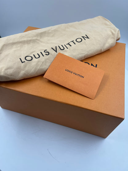 Bumbag, Louis Vuitton, braun